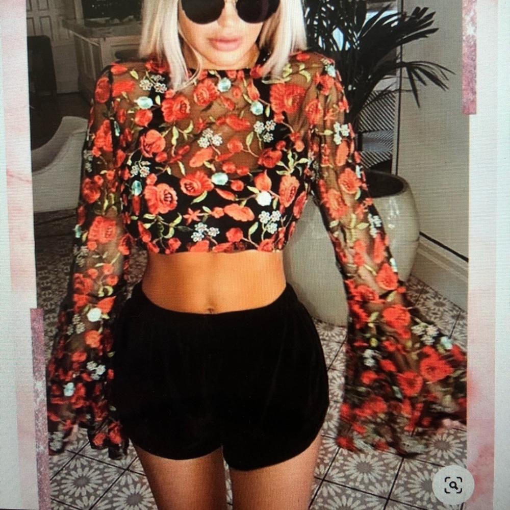 Frankie Black Mesh Floral Embroidered Crop Top